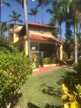 JOY Nutritional Popsicle